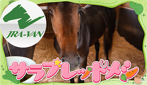 YouTube「サラブレッドメシ」